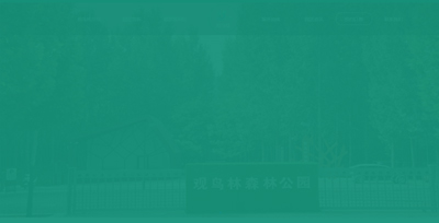 鄭州觀(guān)鳥(niǎo)林森林公園